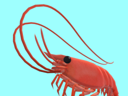 VRShrimp