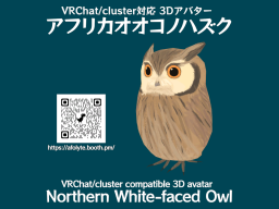 Northern Whitefaced Owl