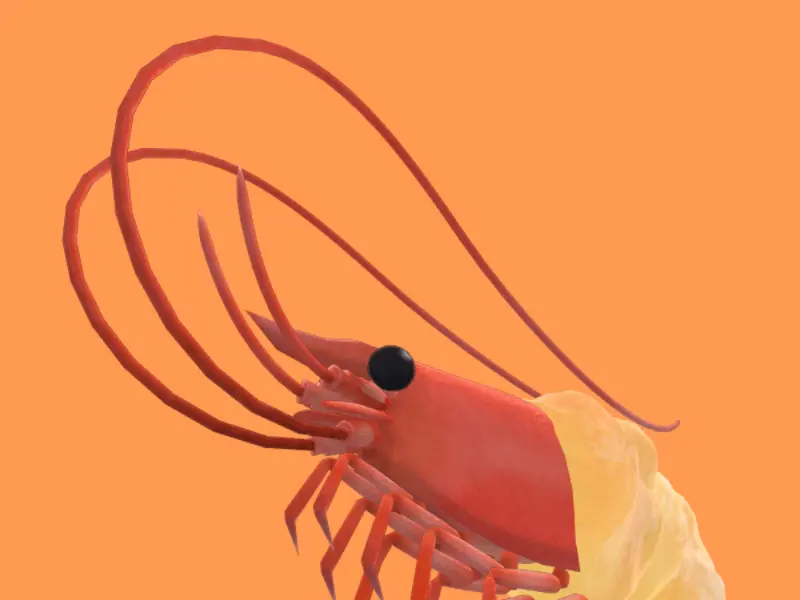 FriedVRShrimp