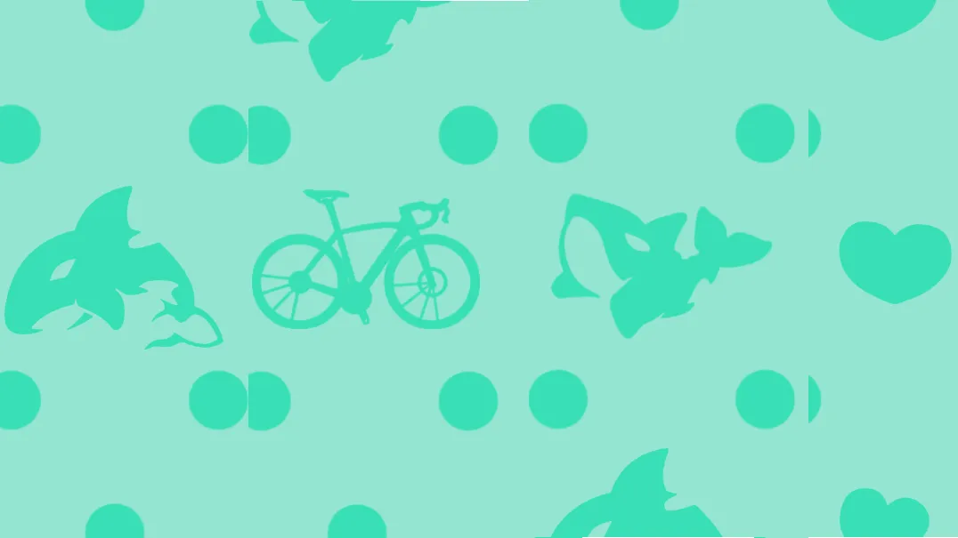 ふしみVR仲良し