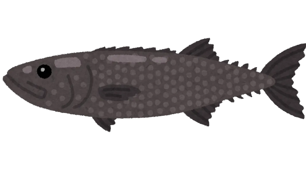 バラムツ食ってケツがぬるぬる！