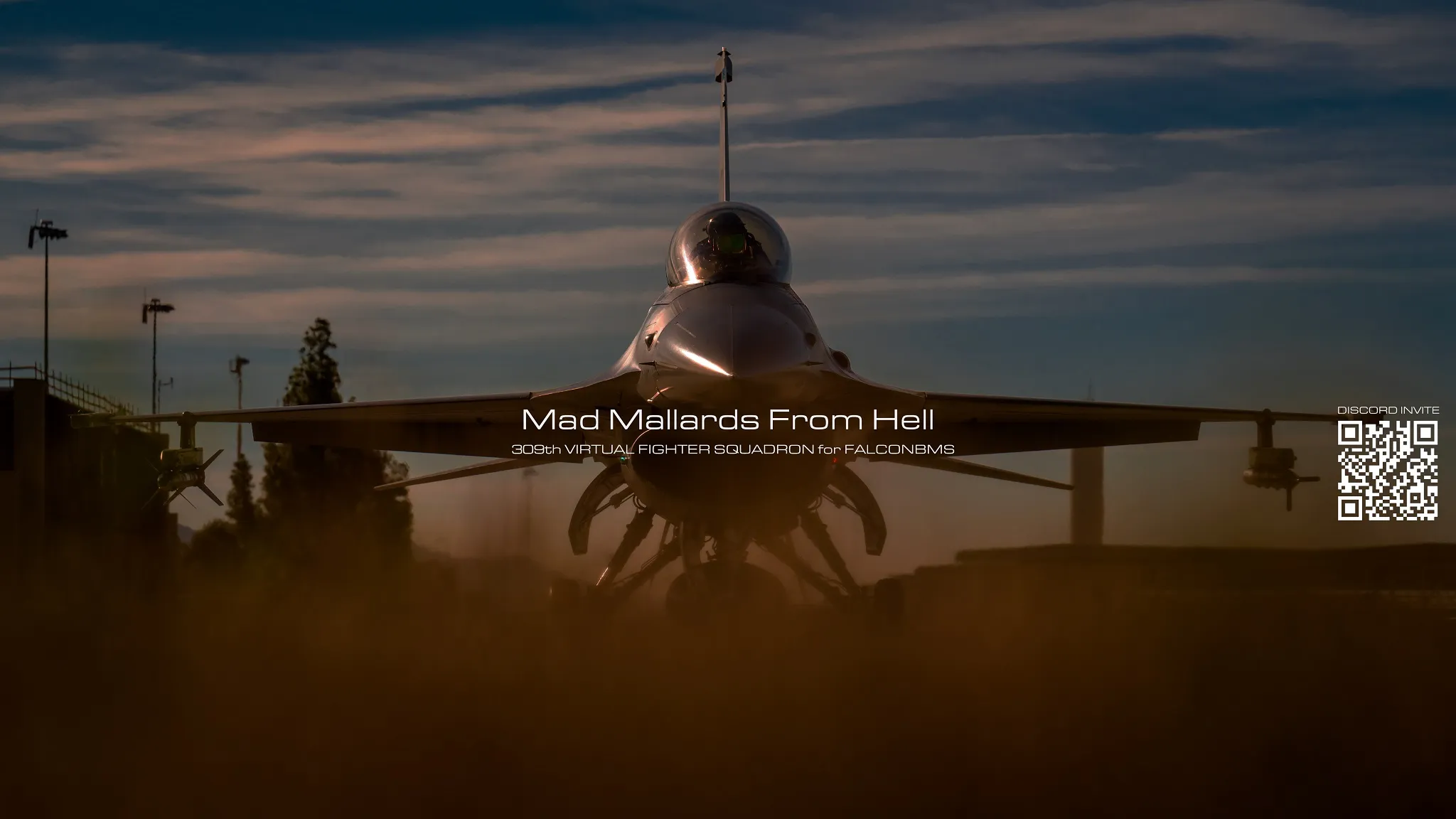 静岡州空軍 309thVFS