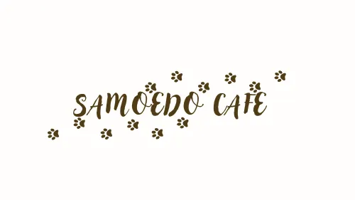 サモエドカフェ
