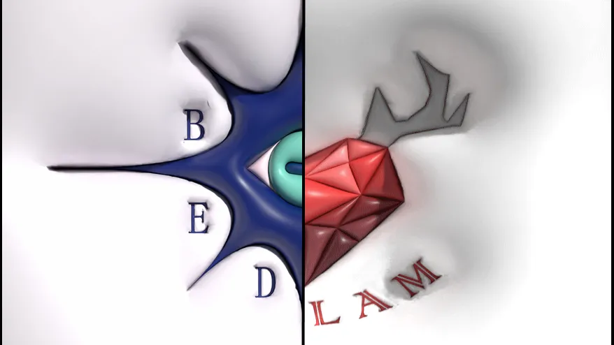 LeBed