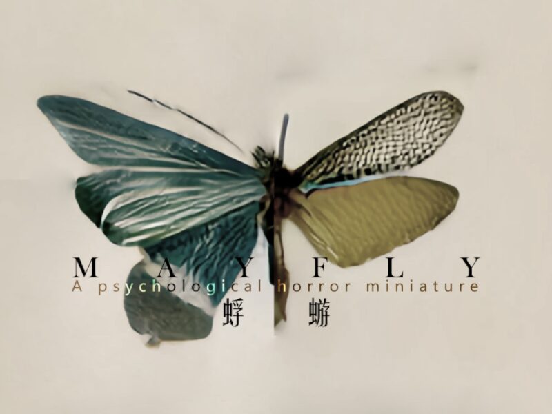 Mayfly