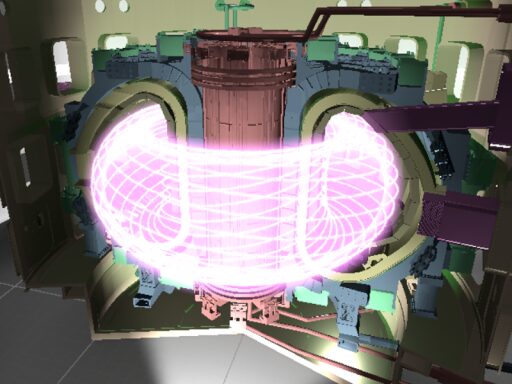 VFN_Full scale Tokamak fusion reactor