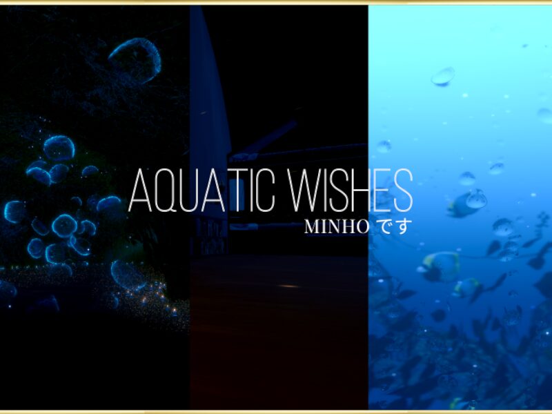 Aquatic Wishes