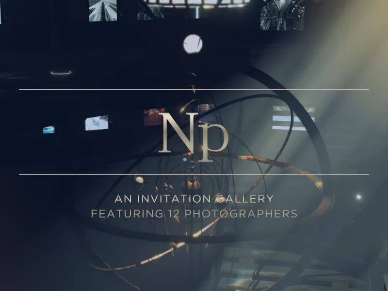 合同ギャラリー:Np