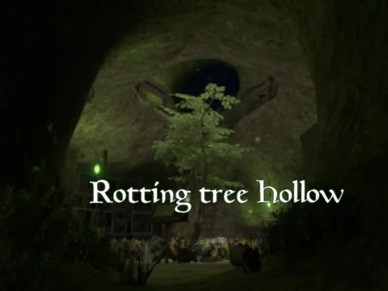 朽ち木のうろ穴 ⁄ Rotting tree Hollow