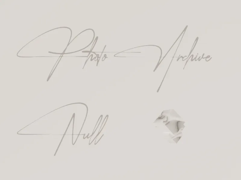 Photo Archive Null_