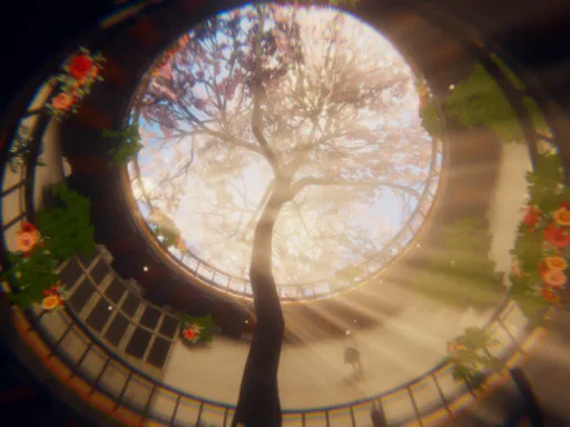 Noon Sakura⁄午樱