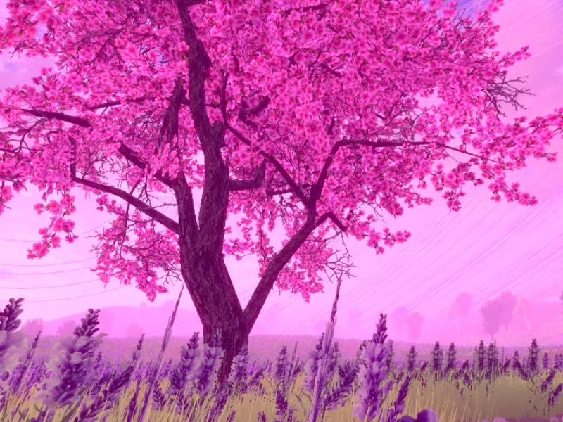 桜の下
