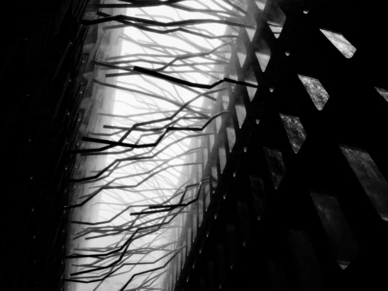 Roots