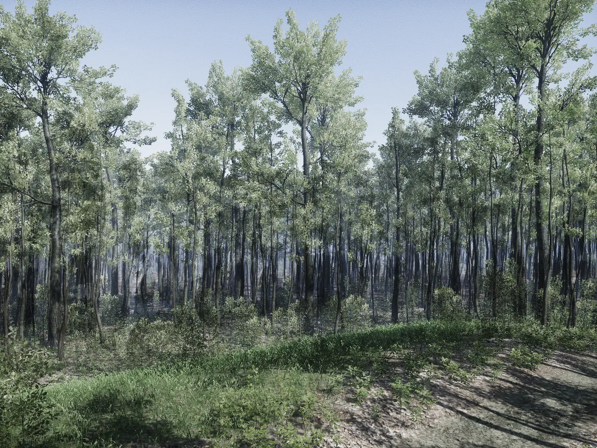 Deep Oak Forest Environment HQ