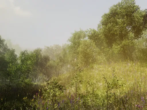 Morning Warmth