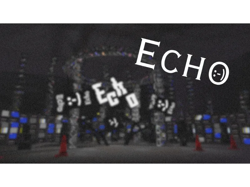 Echo