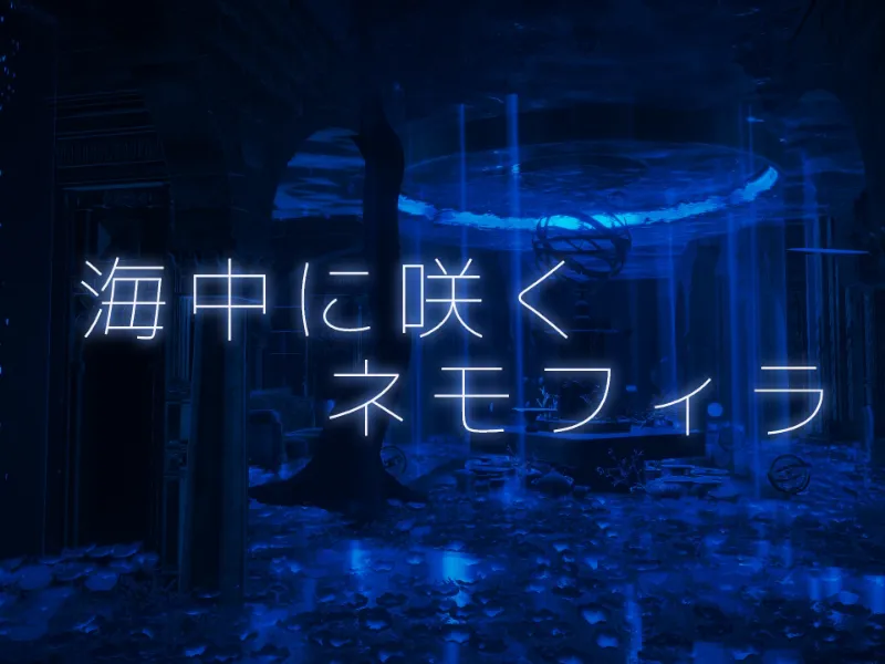 海中に咲くネモフィラ