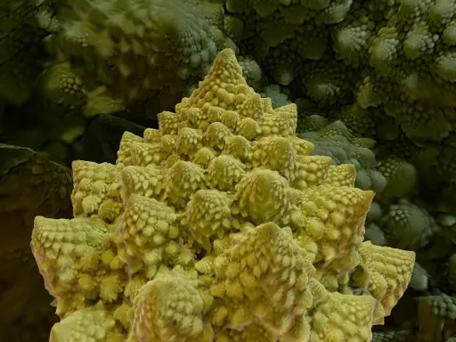 ヴァーチャルロマネスコ -Virtual Romanesco-