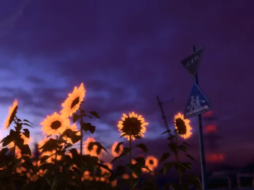 追憶の空