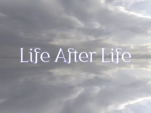 Life After Life （Render）