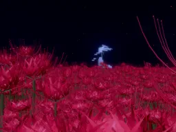境界線