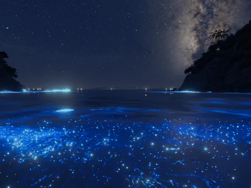 星の入り江 – Liminal Cove