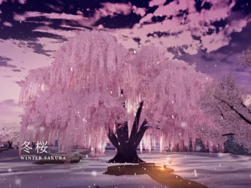 Winter Sakura · 冬桜