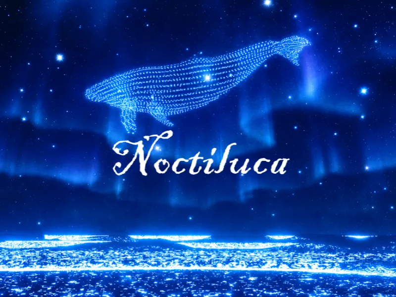 Noctiluca ~ Charlotte’s Luminous Railway
