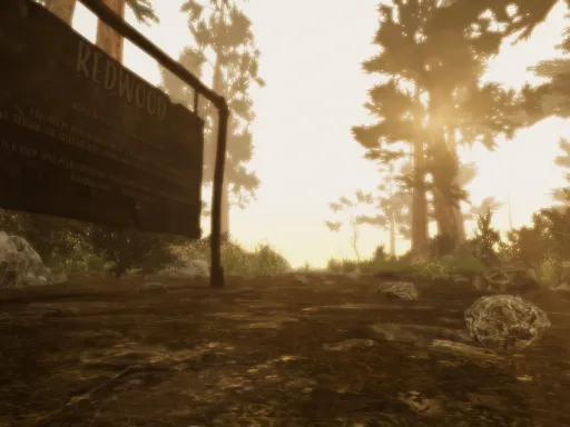 Archive˸ Redwood