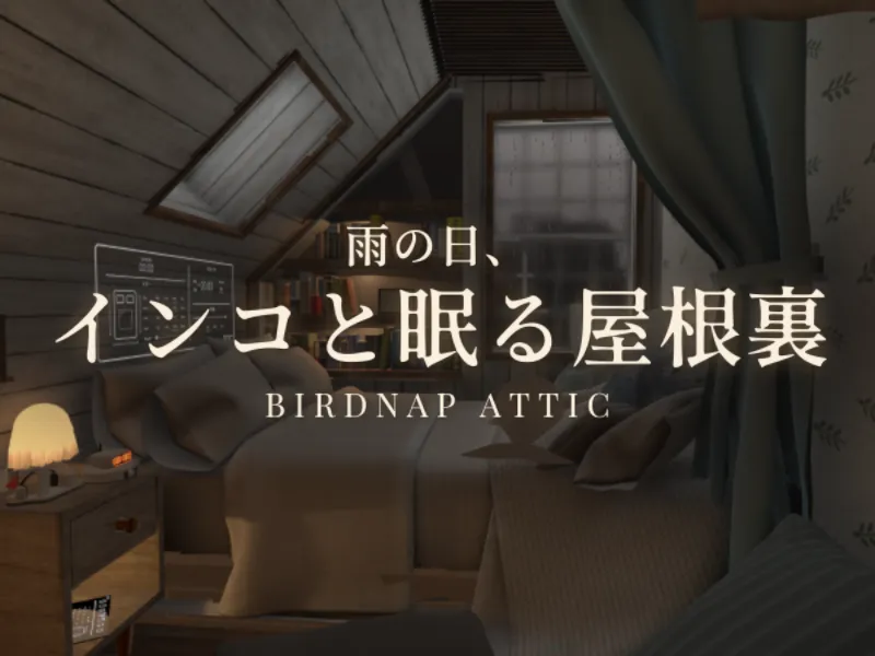 雨の日、インコと眠る屋根裏 – Birdnap Attic
