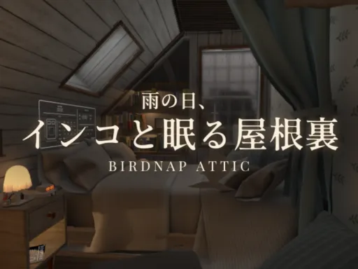 雨の日、インコと眠る屋根裏 – Birdnap Attic