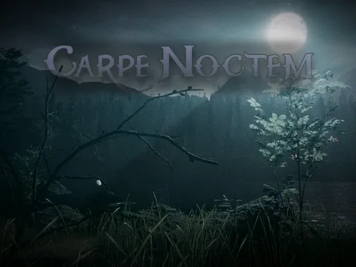 Carpe Noctem