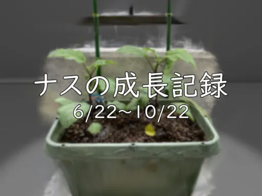 ナスの成長が見れるワールド［3DGS］