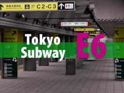 Tokyo Subway E06