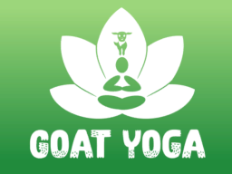 Goat Yoga