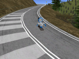 Downhill SkateBoarding